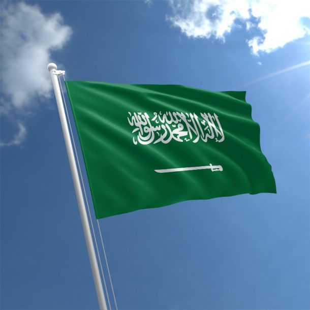 saudi-arabia-flag-std_1 | Global Regulatory Approval Software – RegDesk